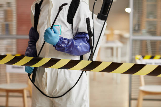 Professional Sewage Cleanup technician working in Troy, TX